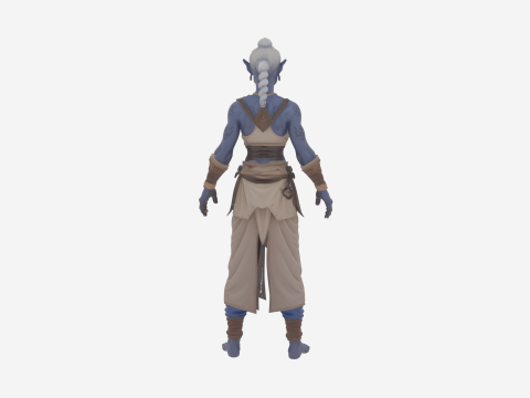 Detailed Elegant High Elf Scribe in World of Style 3D Model