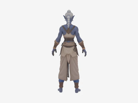 Detailed Elegant High Elf Scribe in World of Style 3D Model