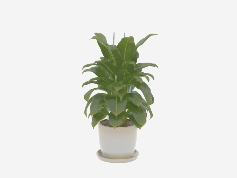 Penanam Keramik Tanaman Tropis 3D dan Baki Drainase untuk Perbankan Model 3D