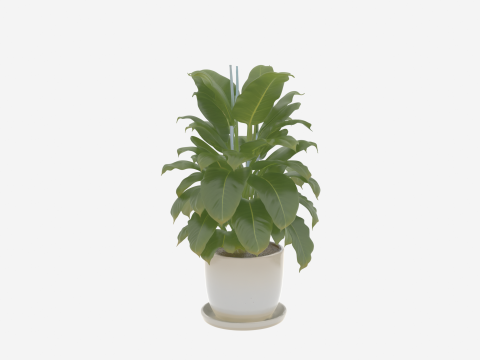 Penanam Keramik Tanaman Tropis 3D dan Baki Drainase untuk Perbankan Model 3D