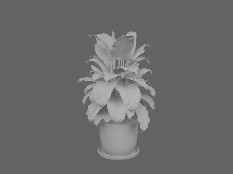 Penanam Keramik Tanaman Tropis 3D dan Baki Drainase untuk Perbankan Model 3D