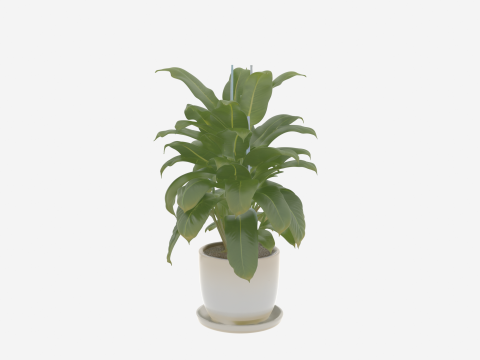 Penanam Keramik Tanaman Tropis 3D dan Baki Drainase untuk Perbankan Model 3D