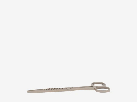 Exquisite of Surgical Forceps featuring Brushed Steel and Precision Serrations 3D Model
