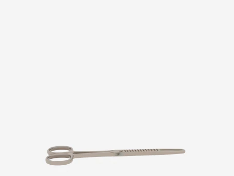 Exquisite of Surgical Forceps featuring Brushed Steel and Precision Serrations 3D Model