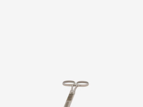 Exquisite of Surgical Forceps featuring Brushed Steel and Precision Serrations 3D Model