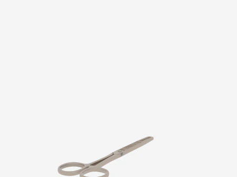 Exquisite of Surgical Forceps featuring Brushed Steel and Precision Serrations 3D Model
