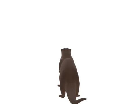 Eurasian Otter Realistic Fur Turnaround 3D Model