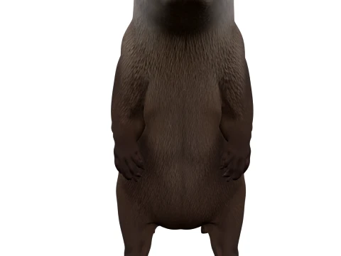 Renversement r&eacute;aliste de la fourrure de la loutre eurasienne Modèle 3D