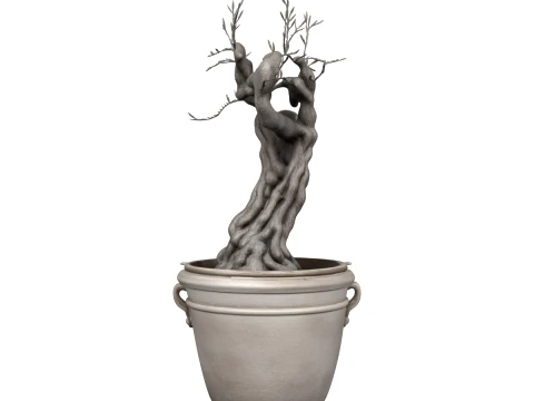 Potted Camellia Japonica with Red Blooms 3D Model