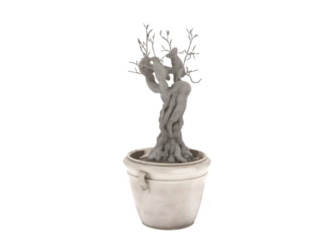Potted Camellia Japonica with Red Blooms 3D Model