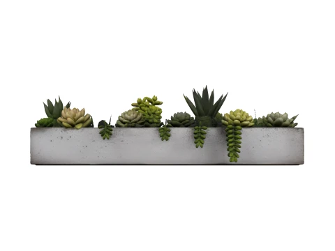 Long Concrete Trough Planter Arrangement 3D Model