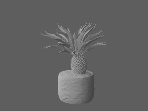 Cycas Revoluta Sago Palm in Granite Pot 3D Model