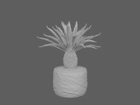 Cycas Revoluta Sago Palm in Granite Pot 3D Model