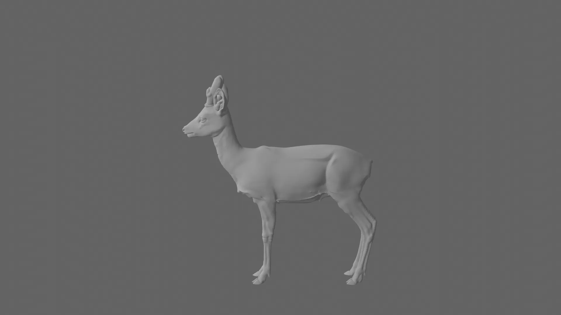 Young Roe Deer with Velvet Antlers Realistic 3D Model .c4d .max .obj .3ds .fbx .stl .blend 