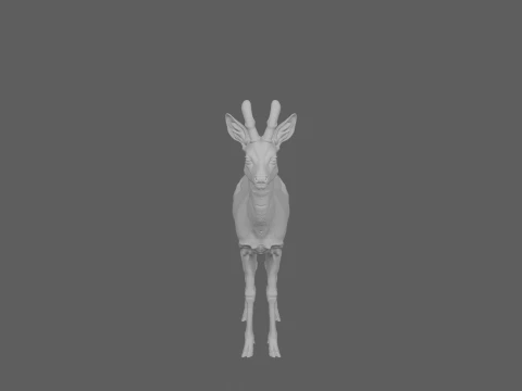 Young Roe Deer with Velvet Antlers Realistic 3D Model