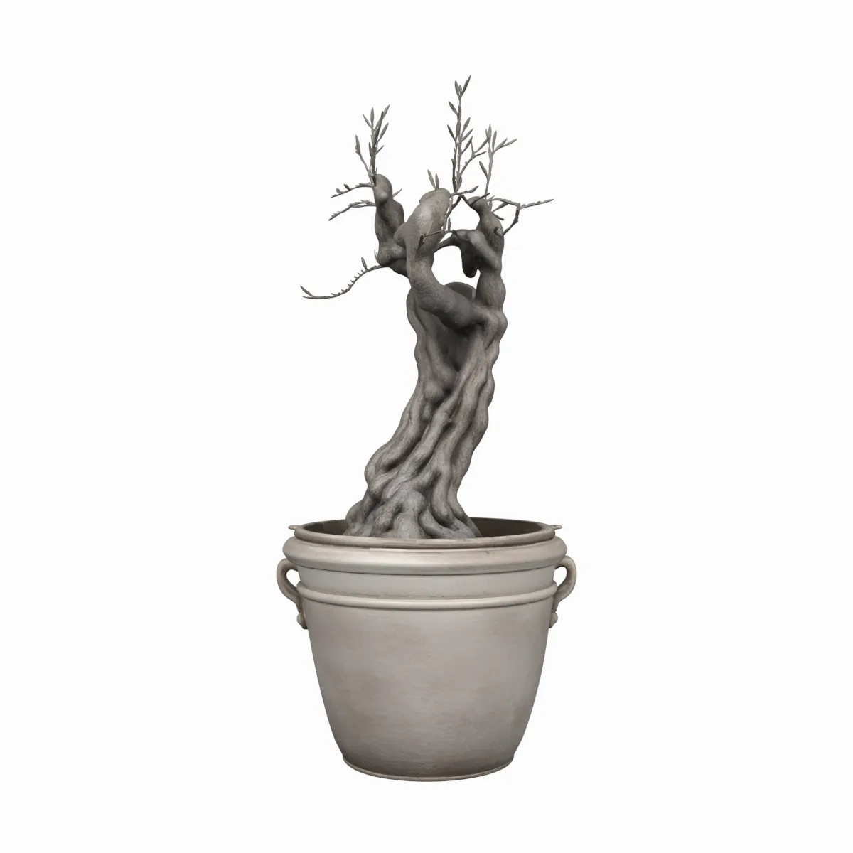 Mature Olive Tree Gnarled Trunk 3D Model .c4d .max .obj .3ds .fbx .stl .blend 
