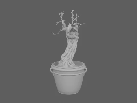 Mature Olive Tree Gnarled Trunk 3D Model