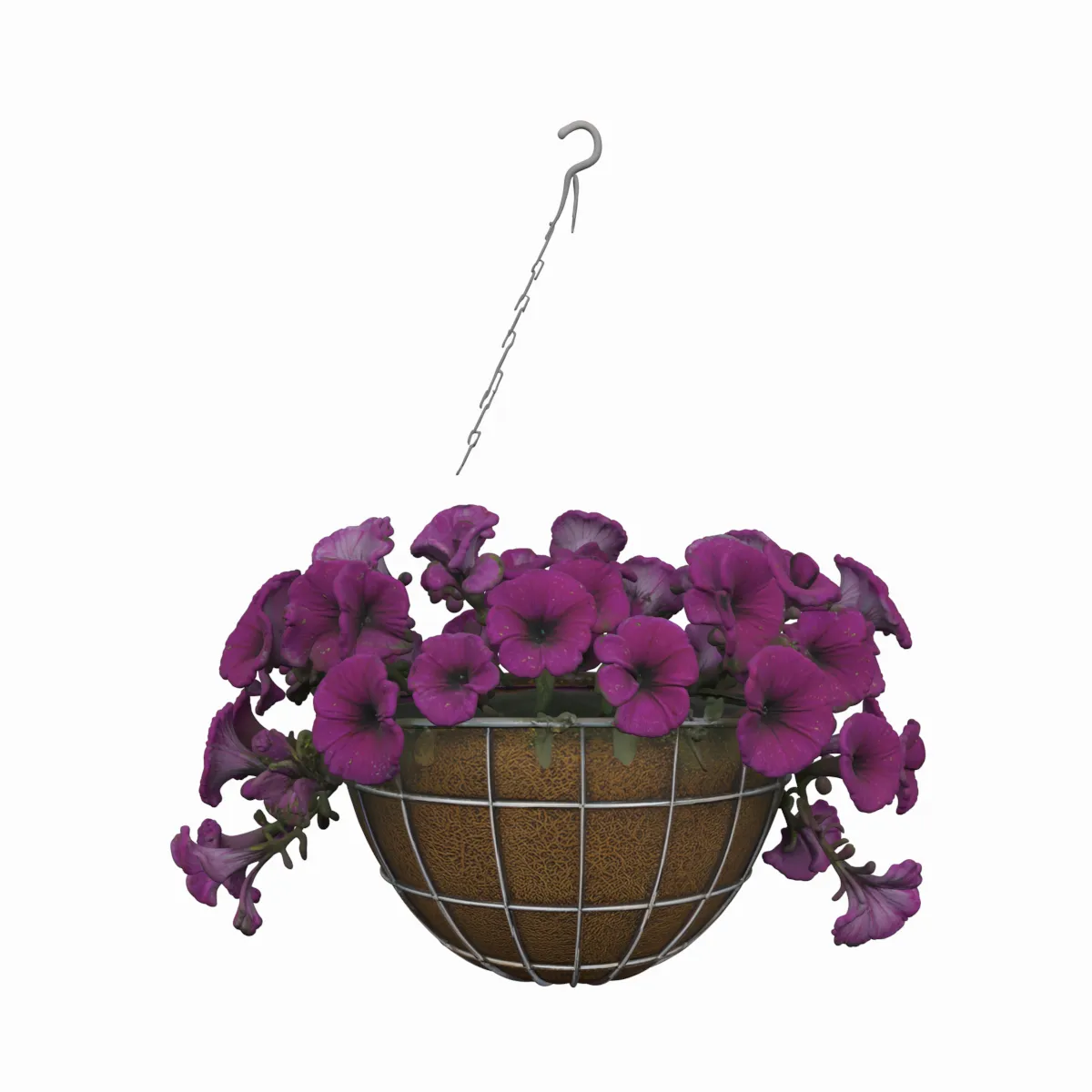 Hanging Basket with Petunias Coconut Coir 3D Model .c4d .max .obj .3ds .fbx .stl .blend