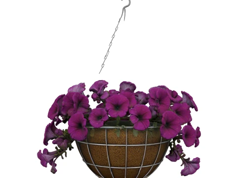 Hanging Basket with Petunias Coconut Coir 3D Model