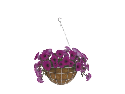 Hanging Basket with Petunias Coconut Coir 3D Model
