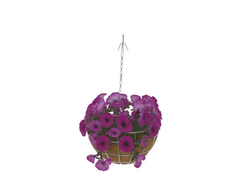 Hanging Basket with Petunias Coconut Coir 3D Model