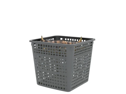 Pond Lily Planting Basket with Rhizome 3D Model