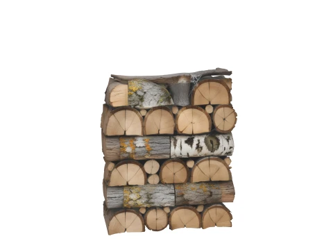 Of Neatly Stacked Oak Birch Log Pile 3D Model