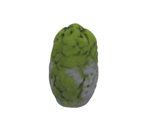 Large Rounded Garden Stone with Emerald Moss 3D Model