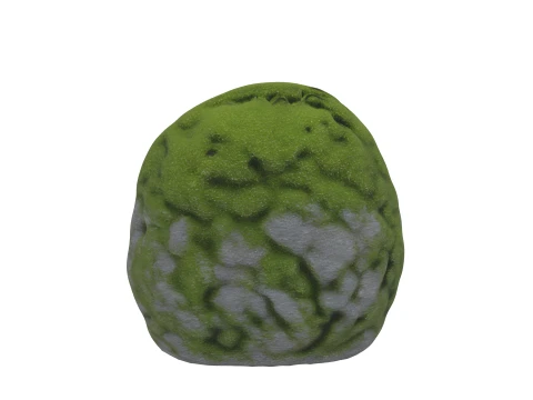 Large Rounded Garden Stone with Emerald Moss 3D Model