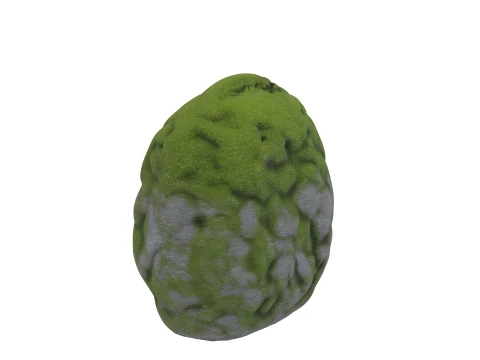 Large Rounded Garden Stone with Emerald Moss 3D Model