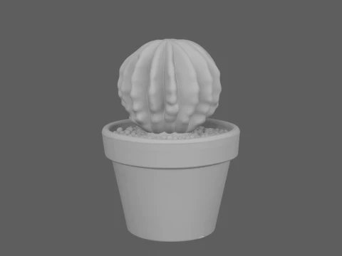 Potted Barrel Cactus Golden Spines Terracotta Pot 3D Model
