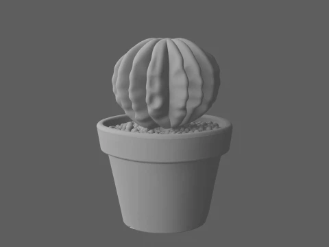 Potted Barrel Cactus Golden Spines Terracotta Pot 3D Model