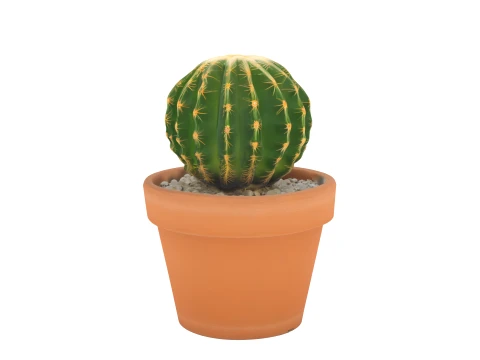 Potted Barrel Cactus Golden Spines Terracotta Pot 3D Model