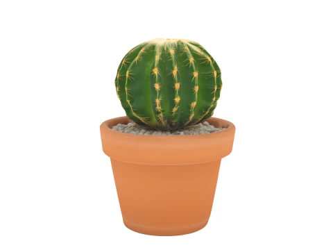 Potted Barrel Cactus Golden Spines Terracotta Pot 3D Model