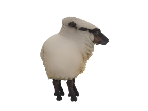 Suffolk Koyun Kalın Y&uuml;n Polar Ayakta Duruş 3D Model