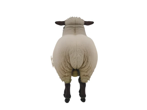 Suffolk Sheep Thick Wool Fleece Standing Pose 3D Model