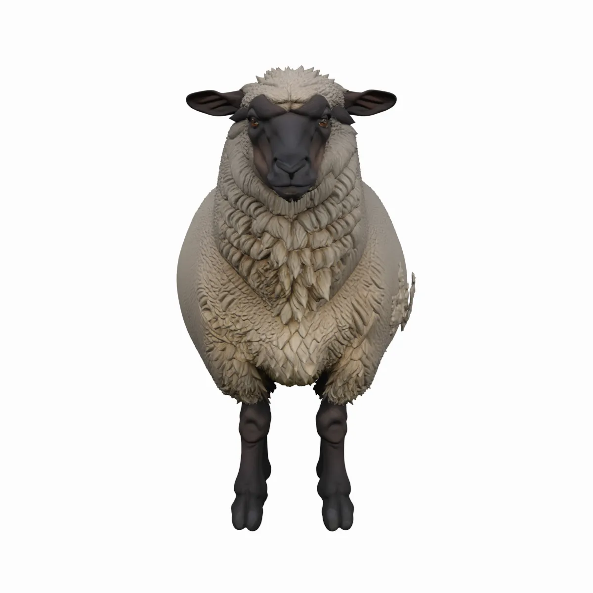 Suffolk Sheep Thick Wool Fleece Standing Pose 3D Model .c4d .max .obj .3ds .fbx .stl .blend 