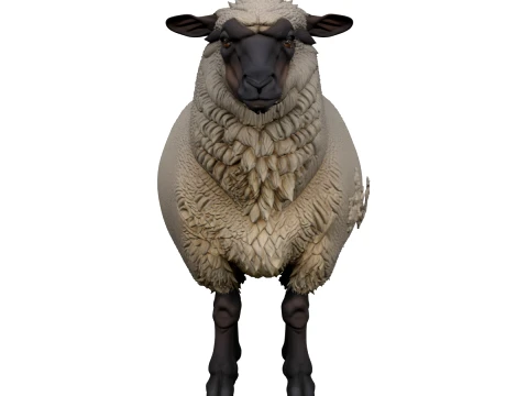 Suffolk Sheep Thick Wool Fleece Standing Pose 3D Model