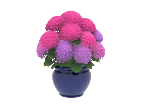 Mophead Hydrangea in Navy Blue Ceramic Pot 3D Model
