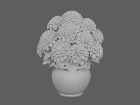 Mophead Hydrangea in Navy Blue Ceramic Pot 3D Model
