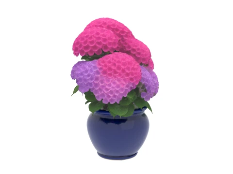 Mophead Hydrangea in Navy Blue Ceramic Pot 3D Model