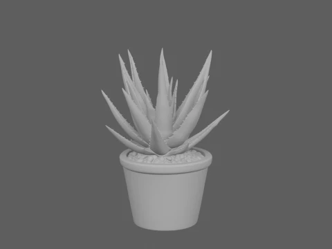Mature Aloe Vera Plant in Terracotta Pot 3D Model