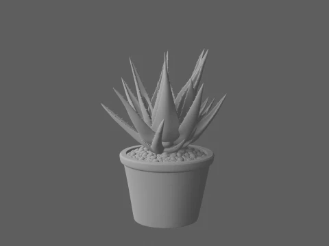 Mature Aloe Vera Plant in Terracotta Pot 3D Model