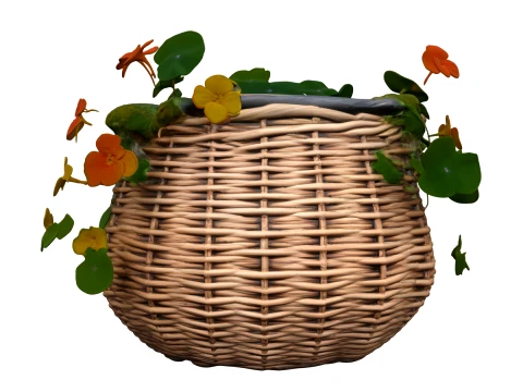Woven Wicker Planter Basket with Nasturtiums 3D Model