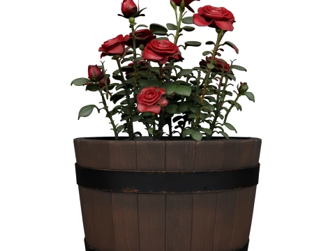 Half Wine Barrel Planter with Blooming Rose 3D Model