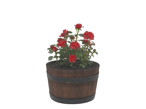 Half Wine Barrel Planter with Blooming Rose 3D Model