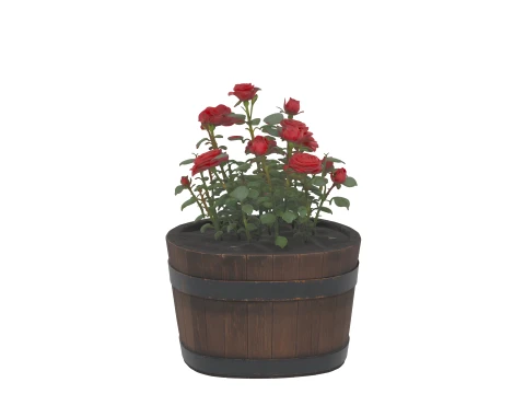 Half Wine Barrel Planter with Blooming Rose 3D Model