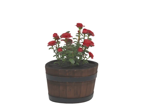 Half Wine Barrel Planter with Blooming Rose 3D Model