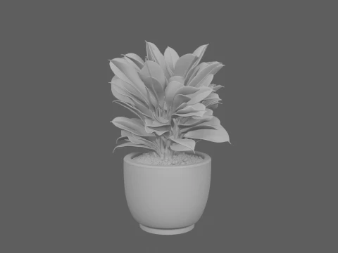 Potted Croton Plant Variegated Leaves in Clay Pot 3D Model