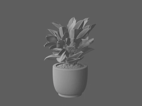Potted Croton Plant Variegated Leaves in Clay Pot 3D Model
